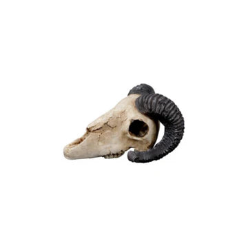 Goat Skull Decor 19.5×17×12cm