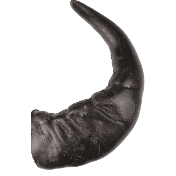 Buffalo Horn Large