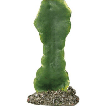 Cactus Gibson Medium One Time Offer Half Price - Markospets