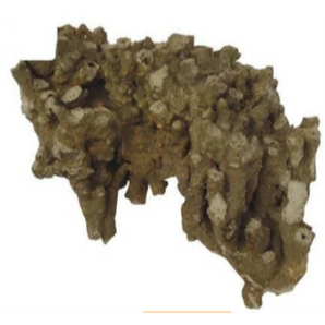 Coral Rock Large (per kg)