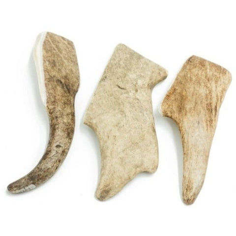 Fallow Deer Antler Chew Hard Large 16.3-18.2cm 8-8.5gr