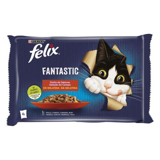 Felix Multipack Fantastic Meat Feast in Jelly 4x85gr