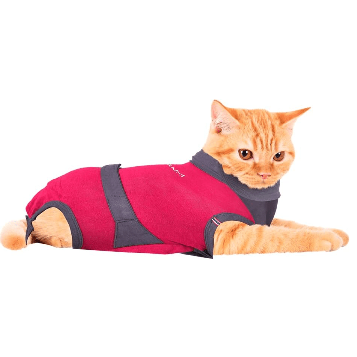 MAXX Cat Post Surgery Suit S - Markospets