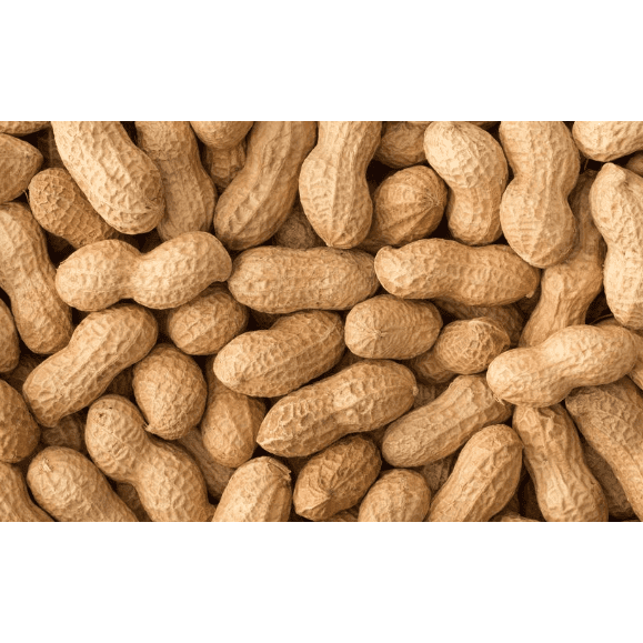 PHC Peanuts in Shell 500gr