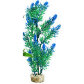 Purple Tip Large Bush 24cm - Markospets