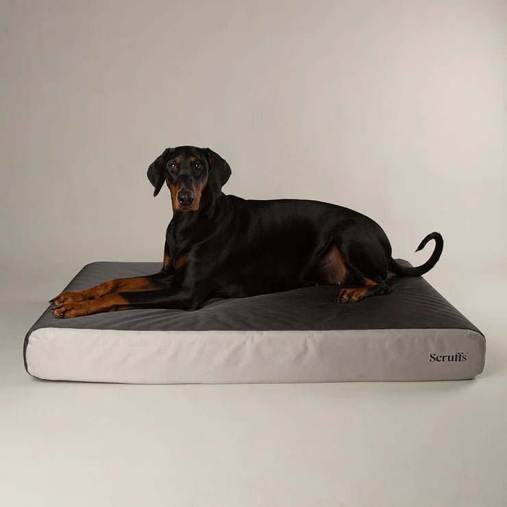 Scruffs Armourdilo Grey Orthopaedic Bed XL 116 x 75 x 15cm - Markospets