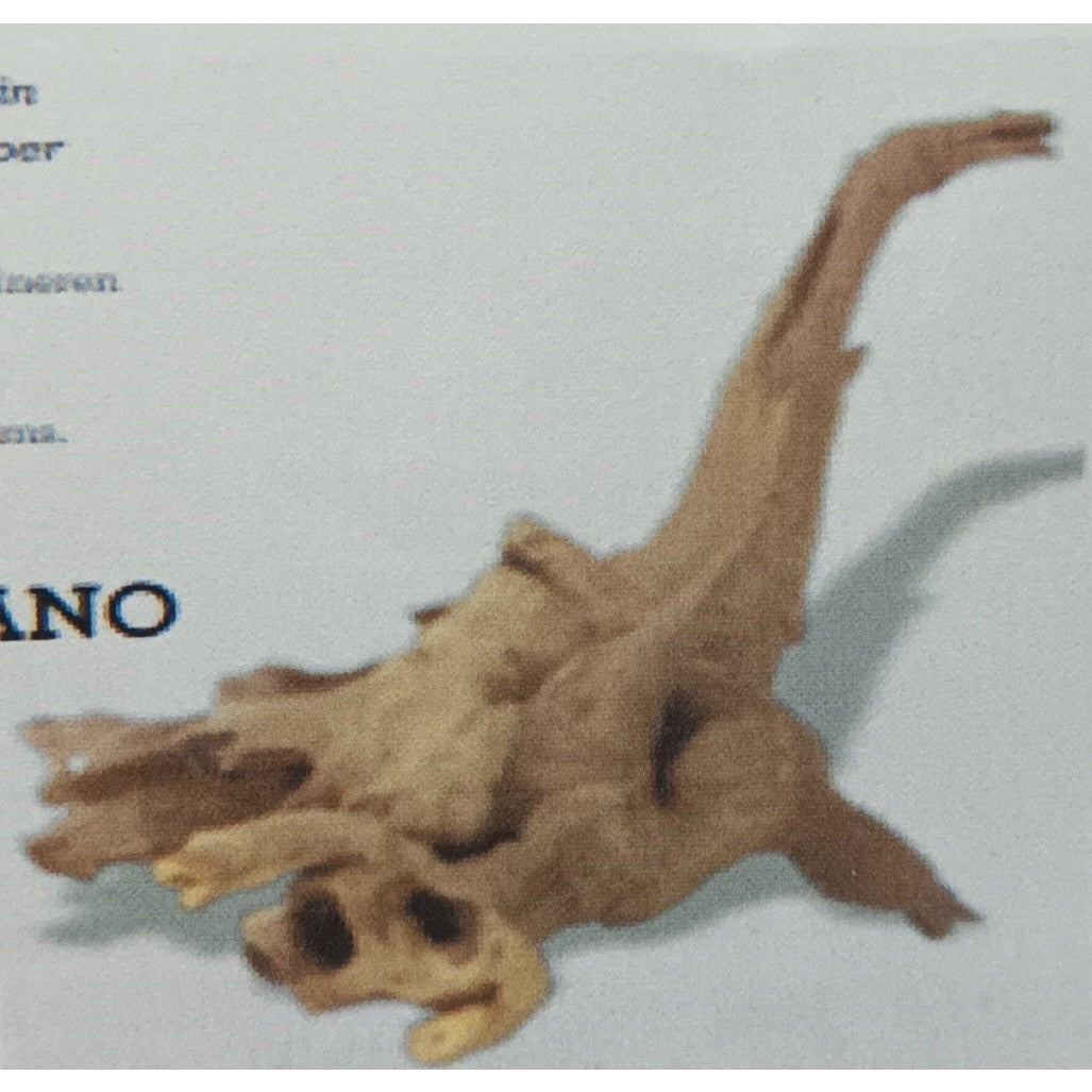 Small Guinea Wood 10-25cm A8050070