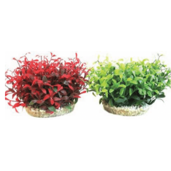Water Ball Maxi 15cm