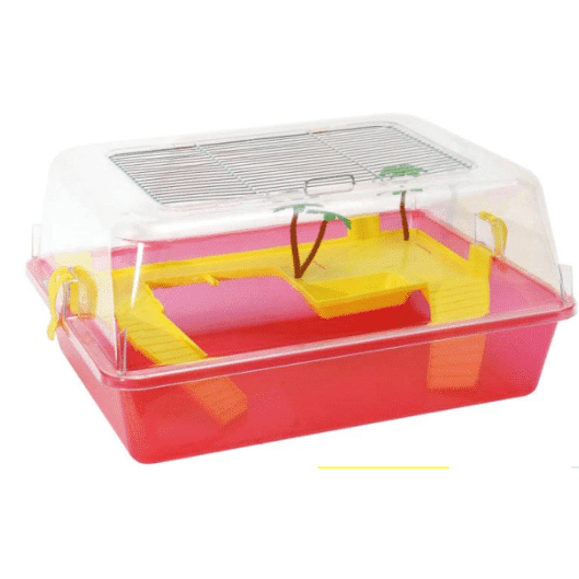 Turtle Box 50x38x25cm