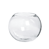 Glass Fish Bowl CS6 15cm