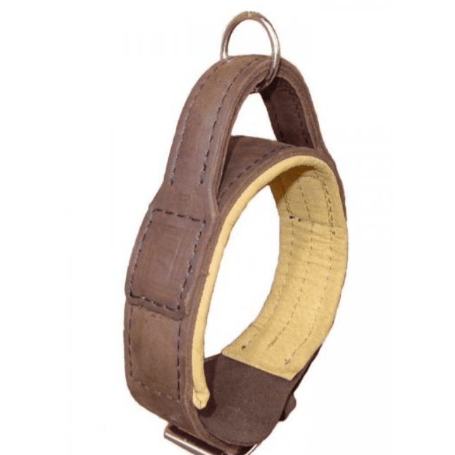 JHS Leather Collar with Handle 50mm/75cm