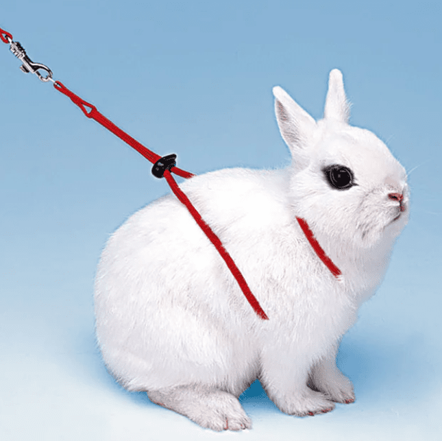 Ferplast NY RAB Adjustable Rabbit Harness - L 1200mm