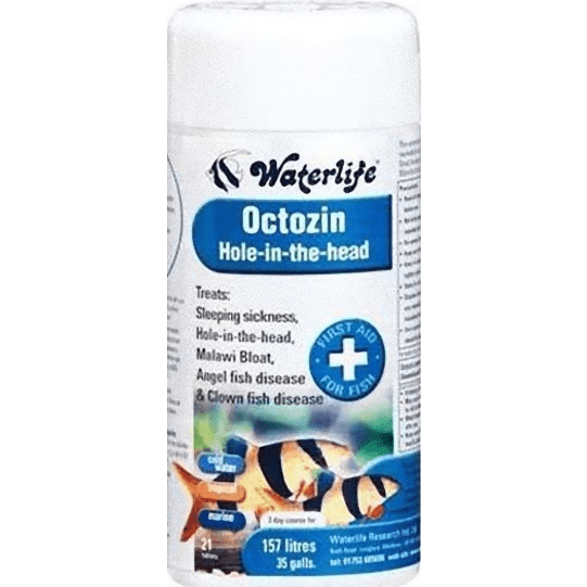 WaterLife Octozin - Treats Hole In The Head & Bloat - 21 Tablets