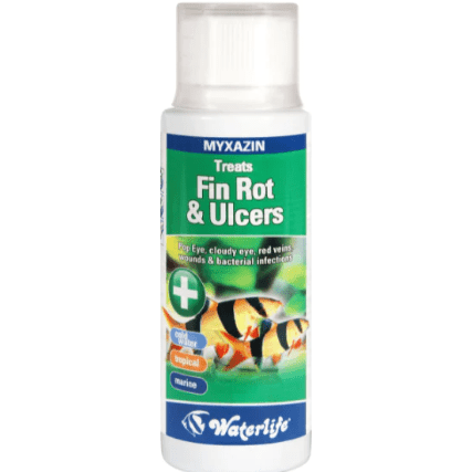 Waterlife Myxazin - Treats Fin Rot & Ulcers 250ml