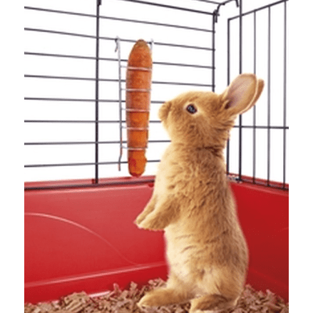 Imac Portacarota - Carrot Holder 4x4x17cm