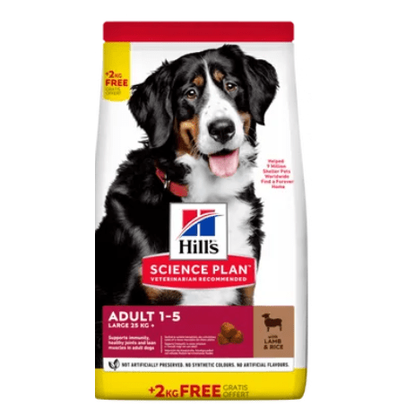 Hill's Science Plan Large Breed Adult Lamb & Rice 12+2kg Free