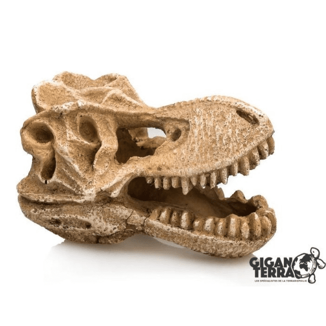 Giganterra T-Rex Skull Aquarium Decoration