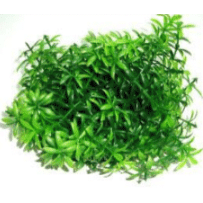 Aquarium Plastic Green Bush 9cm