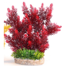 Aquaplant Colour Hedge 24cm