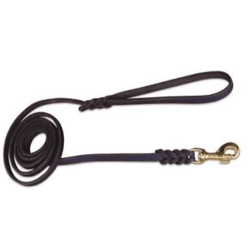 JHS Leather Leash with Gold Clip
