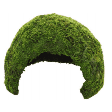 Hobby Jungle Cave 2, 17x17x12cm