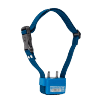 Anti-Bark Collar Canicalm First