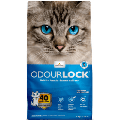 Intersand OdourLock Clumping Unscented Cat Litter 6kg