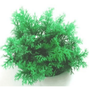 Aquarium Plastic Plant Green Bush Leaf 9cm