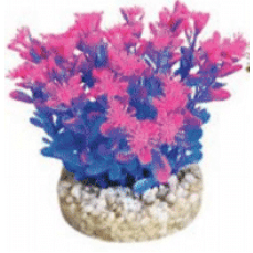 Aqua Bouquet 9cm