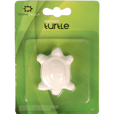 TerraDella Element Turtle