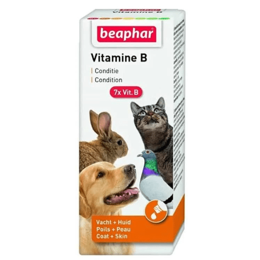 Beaphar Vitamine B Cat Dog Bird And Rodent Vitamin Supplement 50ml