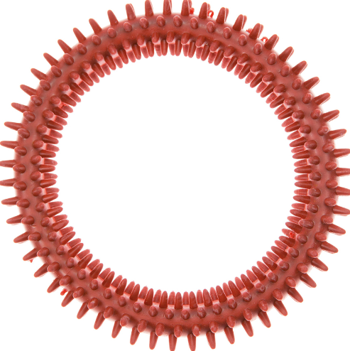 Imac – Toy For Dog Rubber Ring Beef Flavoured 12cm