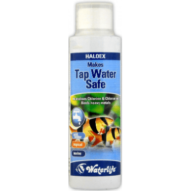 WaterLife Haloex - Makes Tap Water Safe 250ml